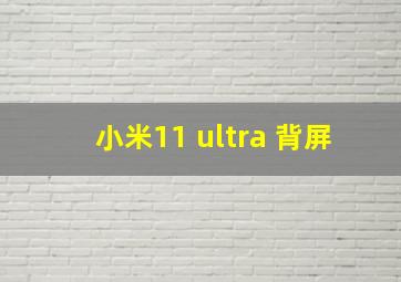 小米11 ultra 背屏